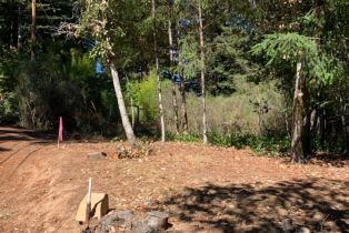 Residential Lot,  Summit avenue, Russian River, CA 95446 - 9