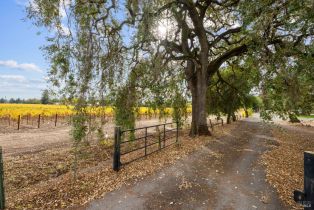 Single Family Residence,  Silverado trail, Napa, CA 94558 - 54