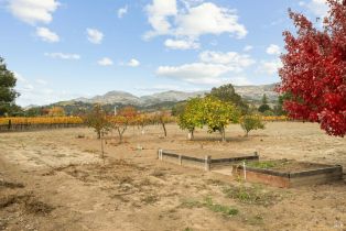 Single Family Residence,  Silverado trail, Napa, CA 94558 - 48