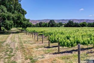 Residential Acreage,  Trubody lane, Napa, CA 94558 - 78