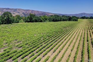 Residential Acreage,  Trubody lane, Napa, CA 94558 - 71