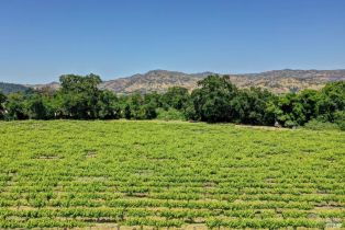 Residential Acreage,  Trubody lane, Napa, CA 94558 - 77