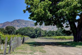 Residential Acreage,  Trubody lane, Napa, CA 94558 - 6