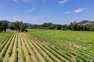 Residential Acreage,  Trubody lane, Napa, CA 94558 - 72