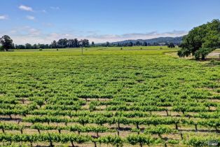 Residential Acreage,  Trubody lane, Napa, CA 94558 - 79