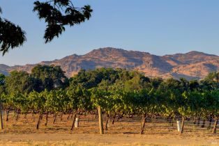 Residential Acreage,  Trubody lane, Napa, CA 94558 - 69