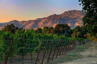 Residential Acreage,  Trubody lane, Napa, CA 94558 - 7