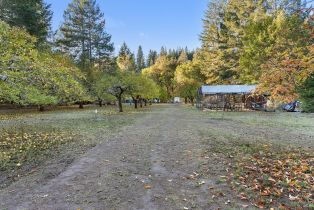 Single Family Residence,  Bones road, Sebastopol, CA 95472 - 53