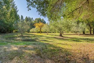 Single Family Residence,  Bones road, Sebastopol, CA 95472 - 51