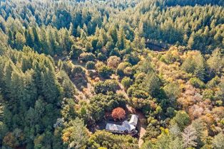 Single Family Residence,  Bones road, Sebastopol, CA 95472 - 47