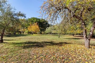 Single Family Residence,  Bones road, Sebastopol, CA 95472 - 5