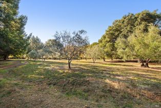 Single Family Residence,  Bones road, Sebastopol, CA 95472 - 49