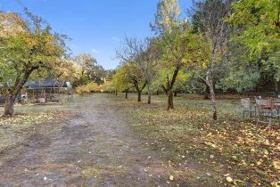 Single Family Residence,  Bones road, Sebastopol, CA 95472 - 60