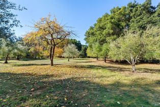 Single Family Residence,  Bones road, Sebastopol, CA 95472 - 48