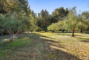 Single Family Residence,  Bones road, Sebastopol, CA 95472 - 4