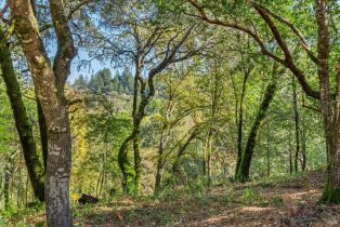 Single Family Residence,  Bones road, Sebastopol, CA 95472 - 44