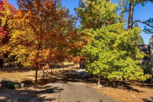 Single Family Residence,  Las Posadas road, Angwin, CA 94508 - 6