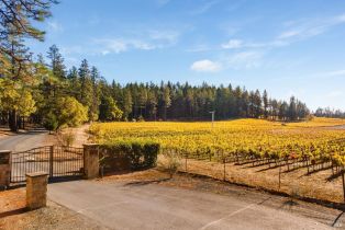 Single Family Residence,  Las Posadas road, Angwin, CA 94508 - 2