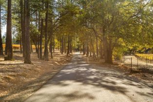 Single Family Residence,  Las Posadas road, Angwin, CA 94508 - 4