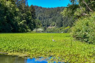 Single Family Residence,  Merry lane, Russian River, CA 95446 - 52