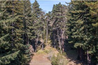 Residential Lot,  Umland circle, Jenner, CA 95450 - 6