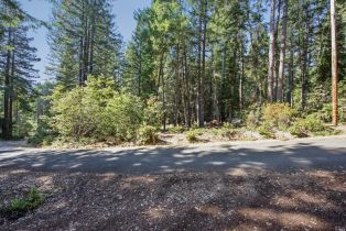 Residential Lot,  Umland circle, Jenner, CA 95450 - 2