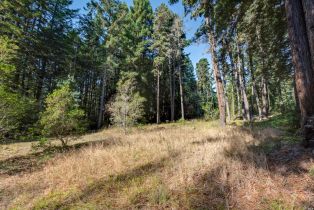 Residential Lot,  Umland circle, Jenner, CA 95450 - 16