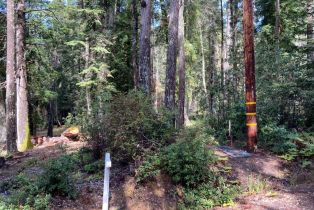 Residential Lot,  Umland circle, Jenner, CA 95450 - 5