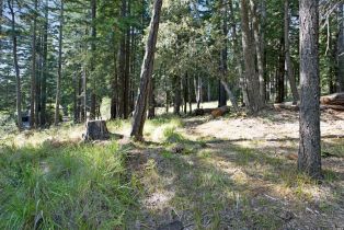 Residential Lot,  Umland circle, Jenner, CA 95450 - 18