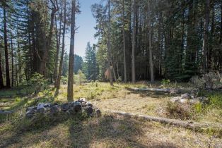 Residential Lot,  Umland circle, Jenner, CA 95450 - 10