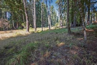 Residential Lot,  Umland circle, Jenner, CA 95450 - 17