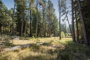 Residential Lot,  Umland circle, Jenner, CA 95450 - 11