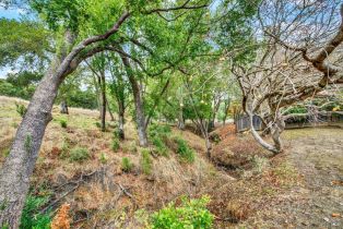 Single Family Residence,  Blue Jay court, Napa, CA 94558 - 61