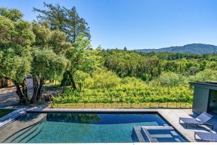 Single Family Residence,  Warm Springs road, Glen Ellen, CA 95442 - 2