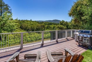 Single Family Residence,  Warm Springs road, Glen Ellen, CA 95442 - 21