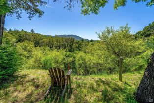 Single Family Residence,  Warm Springs road, Glen Ellen, CA 95442 - 59