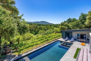 Single Family Residence,  Warm Springs road, Glen Ellen, CA 95442 - 22