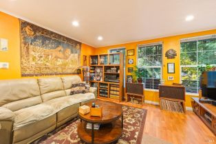 Single Family Residence,  Canyon 3 road, Russian River, CA 95471 - 3