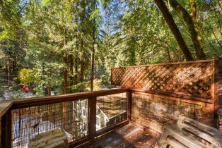 Single Family Residence,  Canyon 3 road, Russian River, CA 95471 - 19