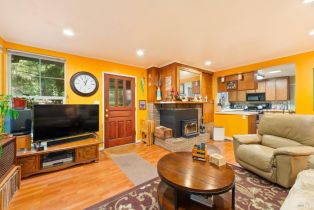 Single Family Residence,  Canyon 3 road, Russian River, CA 95471 - 2