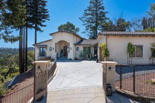 Single Family Residence,  Skyfarm drive, Santa Rosa, CA 95403 - 3