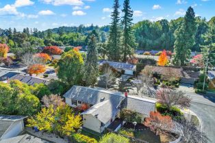 Single Family Residence,  Pueblo avenue, Napa, CA 94558 - 43