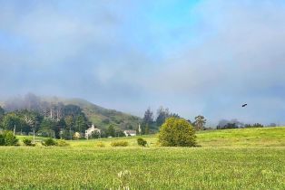 Single Family Residence,  Joy road, Occidental, CA 95465 - 39