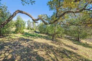 Residential Lot,  Bennett Ridge road, Santa Rosa, CA 95404 - 23