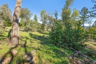 Residential Lot,  Bennett Ridge road, Santa Rosa, CA 95404 - 16