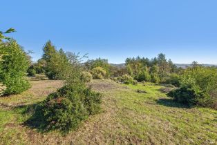 Residential Lot,  Bennett Ridge road, Santa Rosa, CA 95404 - 28