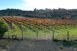 Residential Acreage,  Sonoma Mountain road, Santa Rosa, CA 95404 - 9