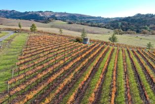 Residential Acreage,  Sonoma Mountain road, Santa Rosa, CA 95404 - 23