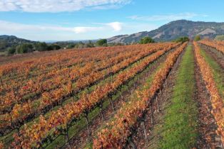 Residential Acreage,  Sonoma Mountain road, Santa Rosa, CA 95404 - 7