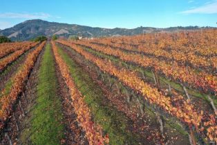 Residential Acreage,  Sonoma Mountain road, Santa Rosa, CA 95404 - 13